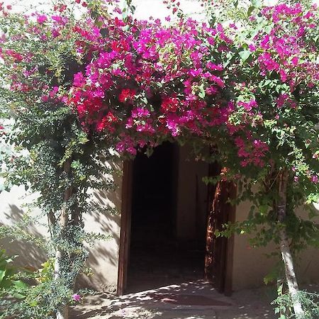 Nour El Gourna Hotel Luxor Buitenkant foto