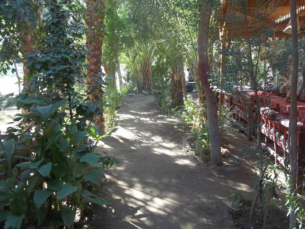 Nour El Gourna Hotel Luxor Buitenkant foto