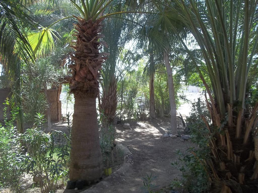Nour El Gourna Hotel Luxor Buitenkant foto